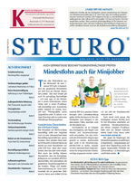steuro_52015_titel_muster